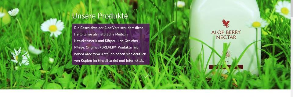 frankencom Webdesign Aloevera Produkte 